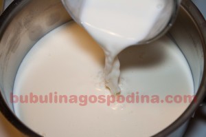 panna_cotta_zmeura_04