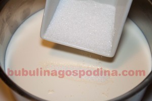 panna_cotta_zmeura_05