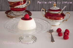 panna_cotta_zmeura_10