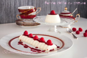 panna_cotta_zmeura_11