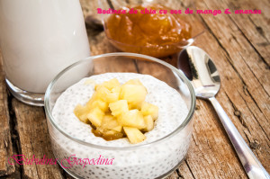 budinca_chia_sos_mango_ananas_03