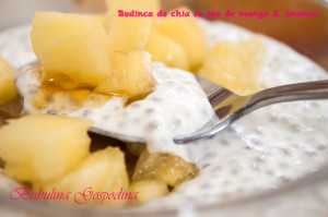 budinca_chia_sos_mango_ananas_04